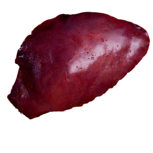 Pork Liver