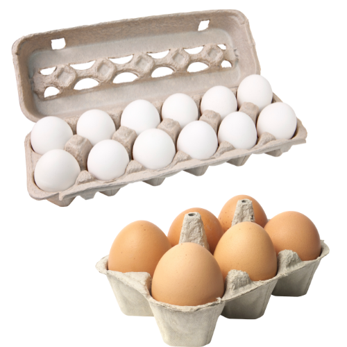 Export Quality Eggs